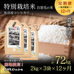 【通年受付】≪令和8年産≫【定期便／全12回】農家直送！魚沼産コシヒカリ特別栽培「白羽毛の米」精米(2kg×3袋)×12回 72kg お米