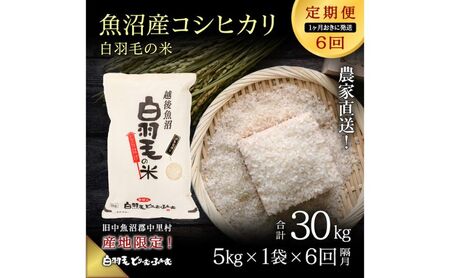 【通年受付】≪令和8年産≫【定期便／1ヶ月おき全6回】農家直送！魚沼産コシヒカリ「白羽毛の米」精米(5kg×1袋)×6回 30kg お米 白米 ご飯