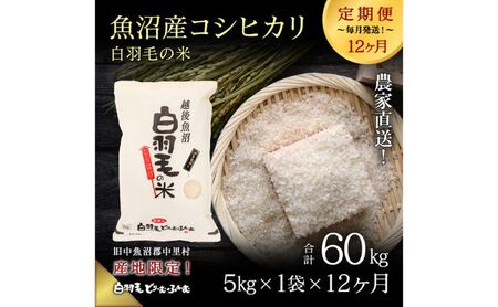 【通年受付】≪令和8年産≫【定期便／全12回】農家直送！魚沼産コシヒカリ「白羽毛の米」精米 (5kg×1袋)×12回 60kg お米