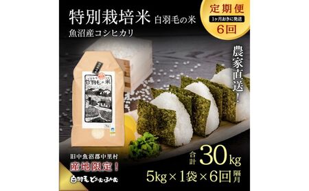 【通年受付】≪令和8年産≫【定期便／1ヶ月おき全6回】農家直送！魚沼産コシヒカリ特別栽培「白羽毛の米」精米(5kg×1袋)×6回 30kg お米 白米 ご飯