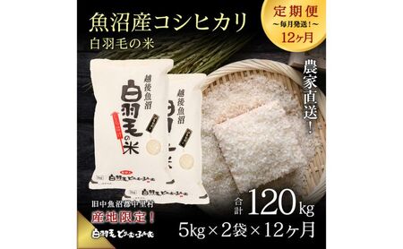 【通年受付】≪令和8年産≫【定期便／全12回】農家直送！魚沼産コシヒカリ「白羽毛の米」精米(5kg×2袋)×12回 120kg お米
