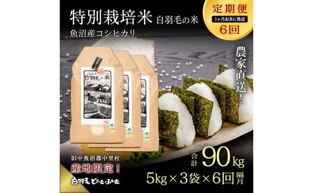 【通年受付】≪令和8年産≫【定期便／1ヶ月おき全6回】農家直送！魚沼産コシヒカリ特別栽培「白羽毛の米」精米(5kg×3袋)×6回 90kg お米 白米 ご飯