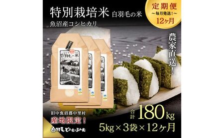 【通年受付】≪令和8年産≫【定期便／全12回】農家直送！魚沼産コシヒカリ特別栽培「白羽毛の米」精米(5kg×3袋)×12回 180kg お米