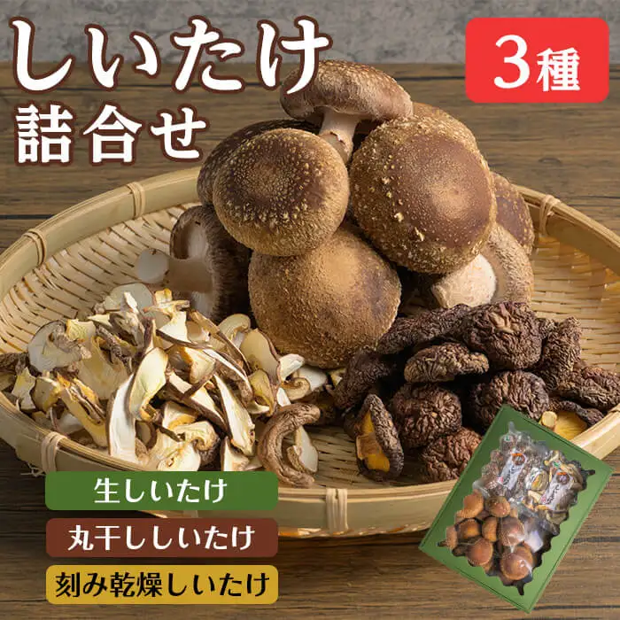しいたけ詰め合わせセット 3種 (生・乾燥)  生しいたけ 丸干ししいたけ 刻み乾燥しいたけ 椎茸シイタケ きのこ キノコ ドライ 料理 茶碗蒸し 出汁 しいたけランド 【株式会社ワンズ】tm282