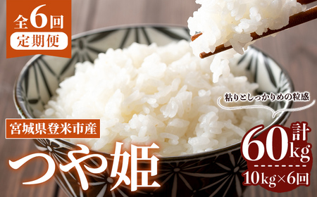 ≪令和8年産≫【6回定期便】つや姫 計60kg (10kg×6回配送) 登米市産 お米 おこめ 米 コメ 白米 ご飯 ごはん おにぎり お弁当 6か月 頒布会【登米ライスサービス株式会社】tm459