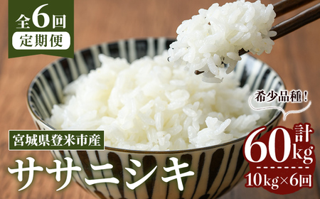 ≪令和8年産≫【6回定期便】ササニシキ 計60kg (10kg×6回配送) 登米市産 お米 おこめ 米 コメ 白米 ご飯 ごはん おにぎり お弁当 6か月 頒布会【登米ライスサービス株式会社】tm461