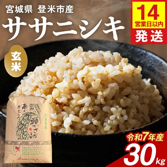 ≪令和8年産≫ ササニシキ 玄米 30kg 登米市産 お米 おこめ 米 コメ ささにしき ご飯 ごはん おにぎり お弁当 【登米ライスサービス株式会社】tm150