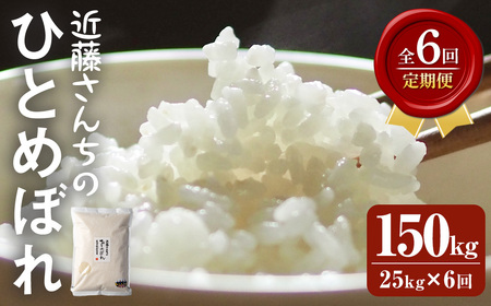 【6回定期便】≪令和8年産≫ ひとめぼれ 精米 計150kg(25kg×6回) 宮城県登米市産 お米 おこめ 米 コメ 白米 ご飯 ごはん おにぎり お弁当 6か月 頒布会【株式会社近藤農産】tm501