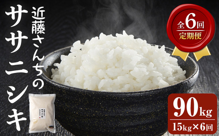【6回定期便】≪令和8年産≫ ササニシキ 精米 計90kg(15kg×6回) 宮城県登米市産 お米 おこめ 米 コメ 白米 ご飯 ごはん おにぎり お弁当 6か月 頒布会【株式会社近藤農産】tm511