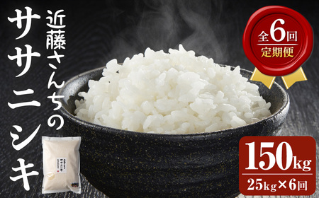 【6回定期便】≪令和8年産≫ ササニシキ 精米 計150kg(25kg×6回) 宮城県登米市産 お米 おこめ 米 コメ 白米 ご飯 ごはん おにぎり お弁当 6か月 頒布会【株式会社近藤農産】tm513