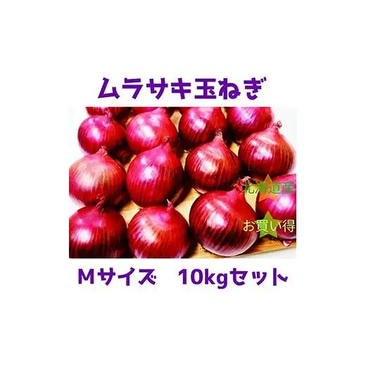 北海道岩見沢市産 紫玉ねぎMサイズ10kg【09116】