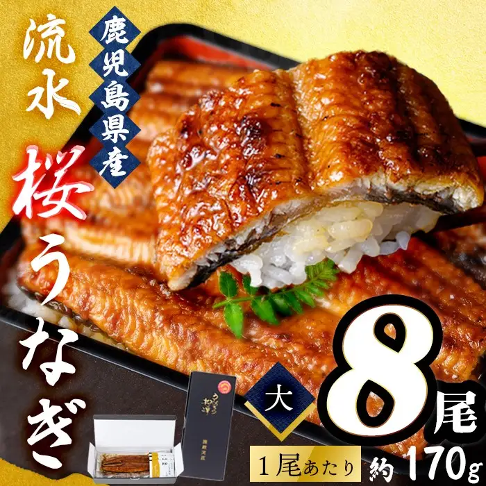 柳澤 流水桜 うなぎ 蒲焼き 8尾(計1360g)  f0-023