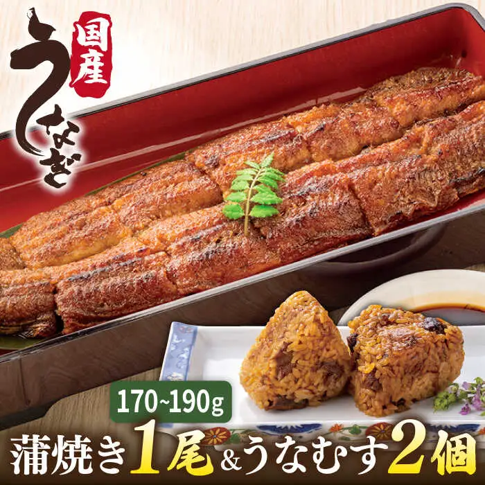 【お中元対象】蒲焼き 1尾 うなむす 2個 うなぎ 詰め合わせ  [ACL006] 鰻 うなぎ かばやき おにぎり