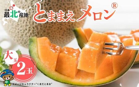 【2026年7月下旬から発送】とままえメロン 2玉 計3.2kg前後 大玉サイズ 北海道産 先行 予約 受付 赤肉 甘い 糖度14度 旬 産地直送 めろん フルーツ 果物 デザート 北海道 苫前町 とままえ rum09