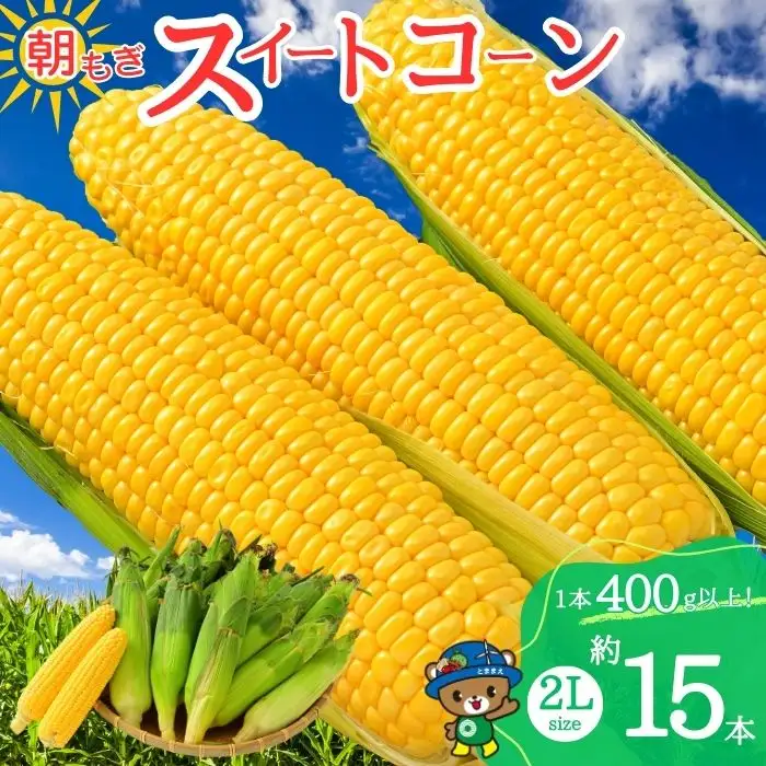 【2026年8月上旬から発送】北海道とままえ産 スイートコーン 2Lサイズ 約15本 とうもろこし 北海道産 先行 予約 受付 甘い 旬 産地直送 野菜 冷蔵 北海道 苫前町 とままえ rum11