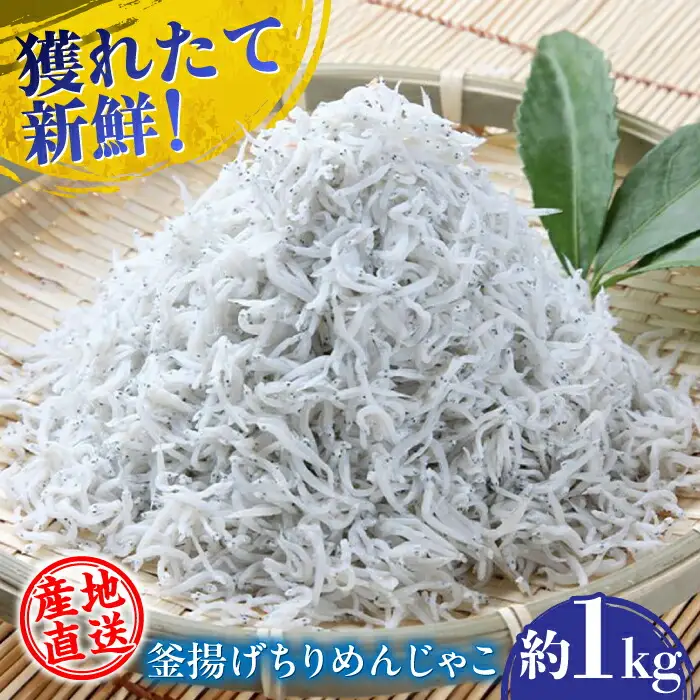 【産地直送】新鮮 釜揚げ ちりめんじゃこ 約1kg 【土居海産】 [ATBT001] しらす