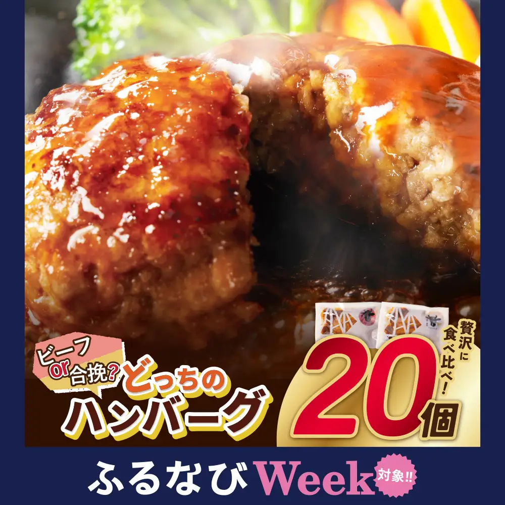 Z61-31F 【ふるなびWEEK対象】どっちのハンバーグ!?デミグラスソース20個セット（ビーフ・合挽 各10個） ハンバーグ