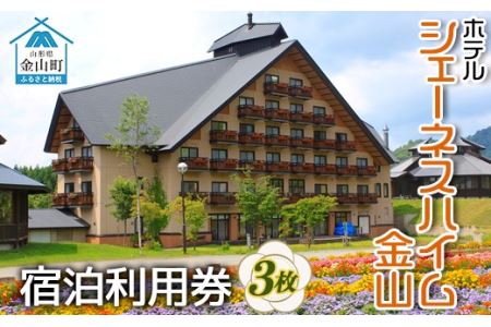 ホテルシェーネスハイム金山宿泊利用券 F4B-0058