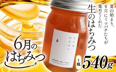 6月のはちみつ 540g KURARI くらりミツバチ研究室《90日以内に出荷予定(土日祝除く)》和歌山県 紀の川市 蜂蜜 ハチミツ 非加熱 純正生はちみつ トースト ヨーグルト st-p