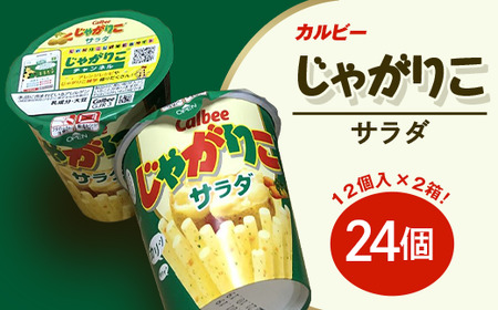 じゃがりこ サラダ味 2箱【 カルビー 下妻工場産 】