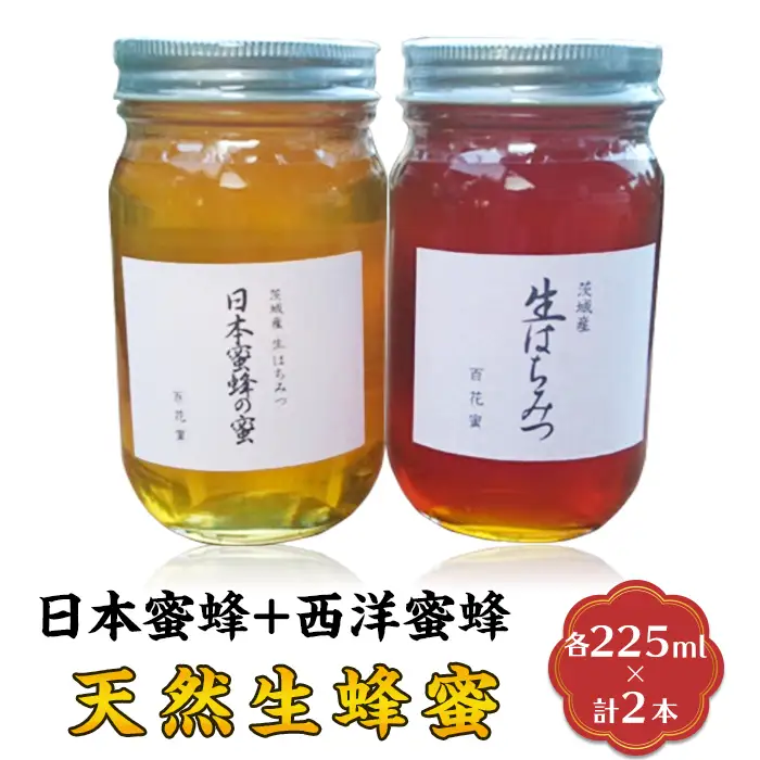 蜂蜜 2本 日本蜜蜂+西洋蜜蜂 8月ごろ発送 はちみつ 生蜂蜜