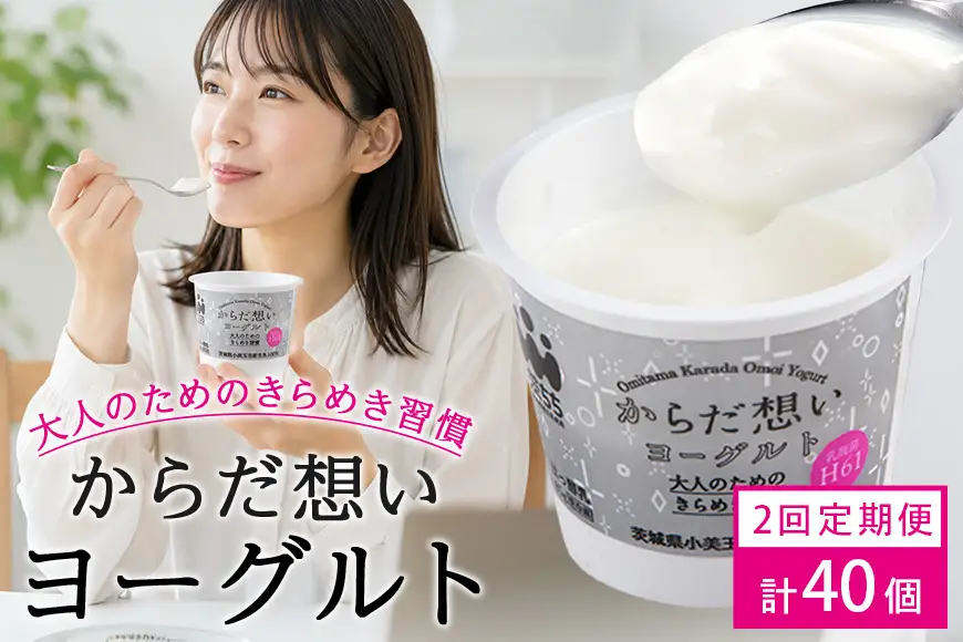 H61乳酸菌『からだ想いヨーグルト』 20個 ×2回発送  1-C