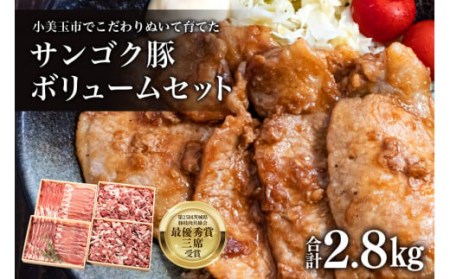 サンゴク豚（ボリュームセット） 合計2.8kg しゃぶしゃぶ 焼き肉 豚肉 豚バラ肉 ロース 小分け 真空パック しゃぶしゃぶ肉 焼肉用 ブタ肉 国産 茨城県産 ギフト プレゼント 冷蔵 高級部位 2-C