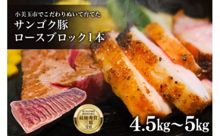 脂身が甘い！サンゴク豚（ロース1本）4.5kg～5kg 豚肉 ブタ肉 国産 茨城県産 ギフト プレゼント 冷蔵 2-E