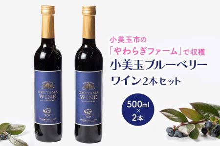 小美玉ブルーベリーワイン2本セット ブルーベリー ワイン ブルーベリーワイン フルーツ 果物 ビタミンE アントシアニン 栄養 目にいい 健康 美容 ギフト 贈り物 茨城県産 プレゼント セット お酒 美味しい お祝い 9-F