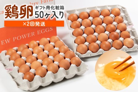 2回定期便 卵 計100個 ギフト用化粧箱50個（45＋補償5個）入り ×2回発送 15-D
