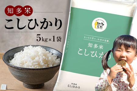 知多米 こしひかり5kg お米 白米 うるち米 おこめ 国産 精米 ご飯 おにぎり 朝ごはん ライス 和食 日本食 主食 食卓 お弁当 コシヒカリ 甘み 粘り 知多半島 お取り寄せ 5キロ 愛知県 知多市 特産品