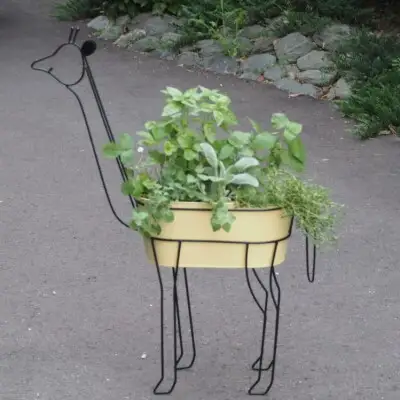 ハーブ 寄植え 7種 キリン型 アイアン鉢 植物 ハーブ