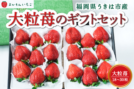 よかもんいちご 大粒苺のギフトセットB 2026年12月5日から12月30日 出荷予定