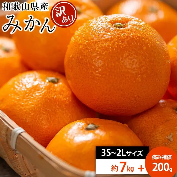 和歌山県産 糖度 9.5度 以上 訳あり みかん 7kg 傷み補償+200g 3S ～ 2Lサイズ混合【NY6w】