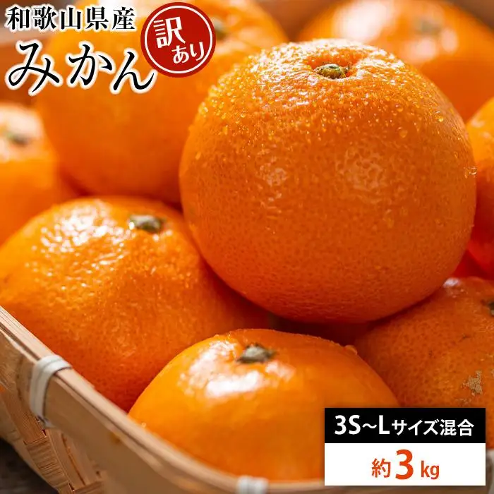 和歌山県産 糖度 12.5度以上 訳あり みかん 3kg 3S ～ Lサイズ混合【NY4w】