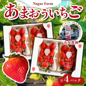 【2027年1月より順次発送】あまおういちご_いちご あまおう 2パック 2箱 計4パック 果物 フルーツ 産地 福岡 久留米 九州産 長尾農園 ストロべリー 甘い スムージー いちごジャム お取り寄せ お取り寄せフルーツ 食品 食べ物 おやつ お菓子作り 送料無料 〔Fi047〕