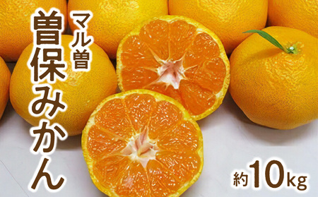 【マル曽】曽保みかん(約10kg)