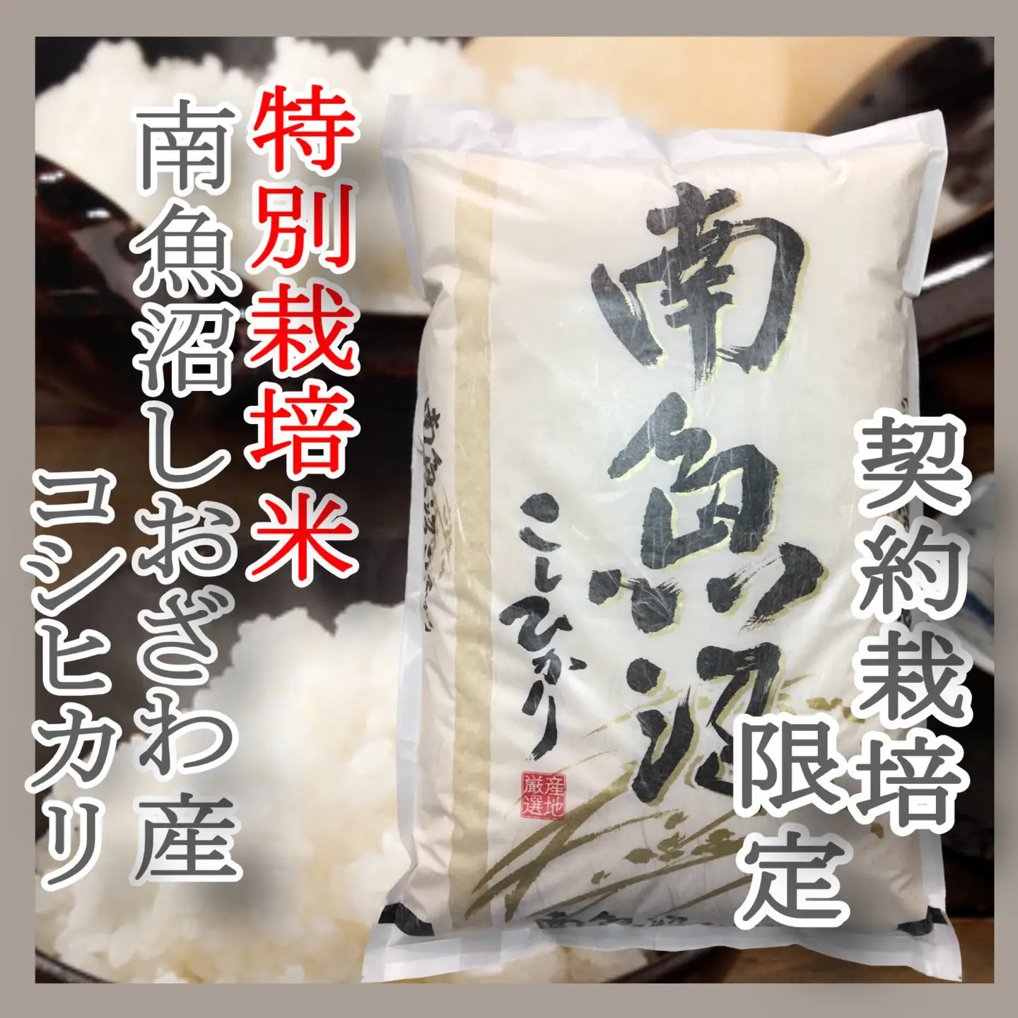 【令和7年産】※定期便：4Kg×12ヶ月※特別栽培 生産者限定  南魚沼しおざわ産コシヒカリ【定期便 銘柄米 ブランド米 精米 こしひかり コシヒカリ 魚沼産 新潟米 産地直送 お米 米 こめ コメ ご飯 御飯 ごはん】