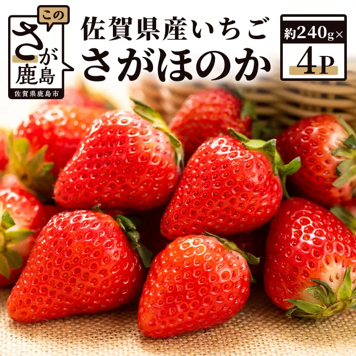 【予約受付】 佐賀県産いちご 「さがほのか」 約240g×4パック B-464