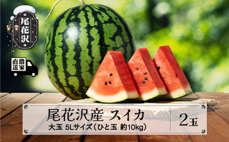 尾花沢産スイカ すいか 5Lサイズ 約10kg×2玉  令和8年産 kb-su5xx2