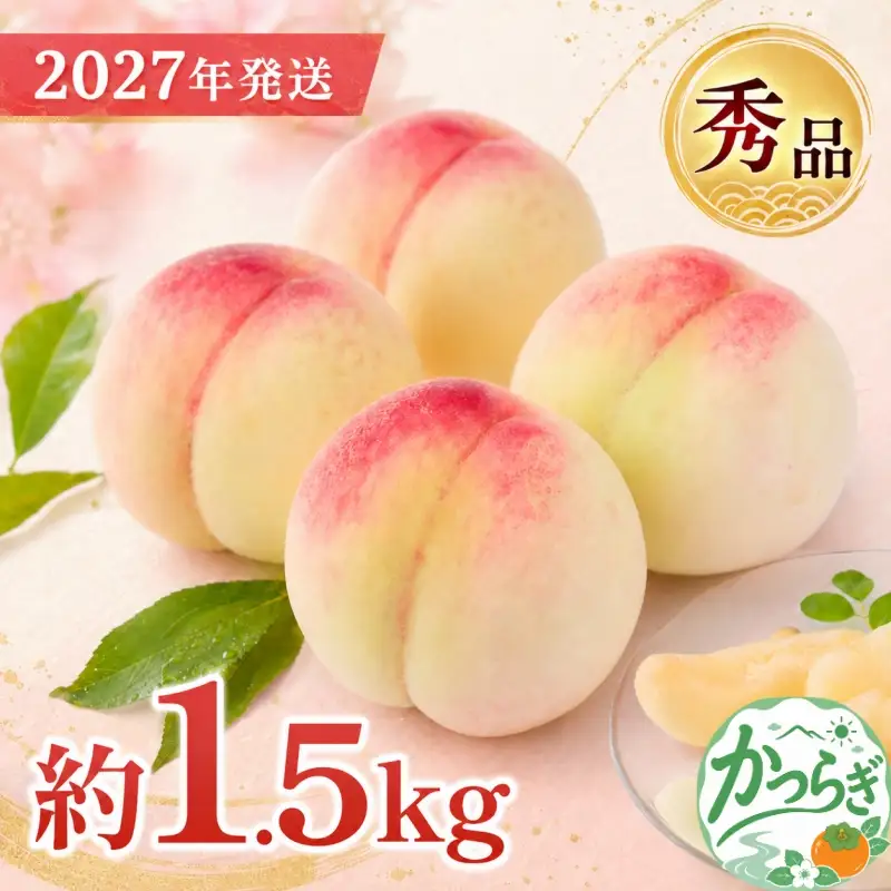 桃 和歌山県産 桃 4玉～6玉 約1.5kg 秀品 【2027年7月上旬～2027年8月下旬頃発送予定】 【US35】【AS001-uts062】
