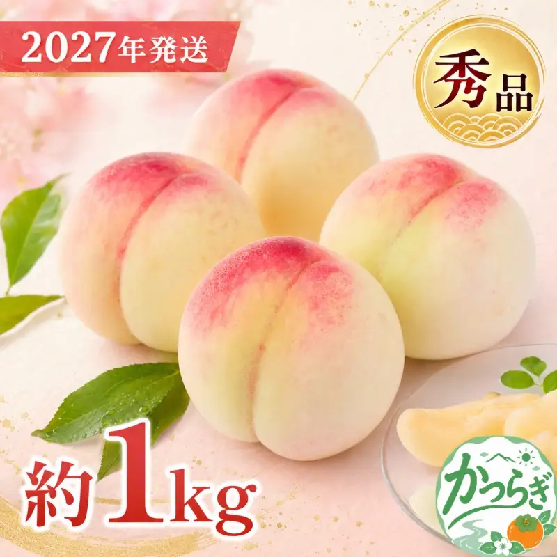 和歌山県産 桃 3玉～4玉 約1kg 秀品  【2027年7月上旬～2027年8月下旬頃発送予定】【US54】【AS002-uts061】