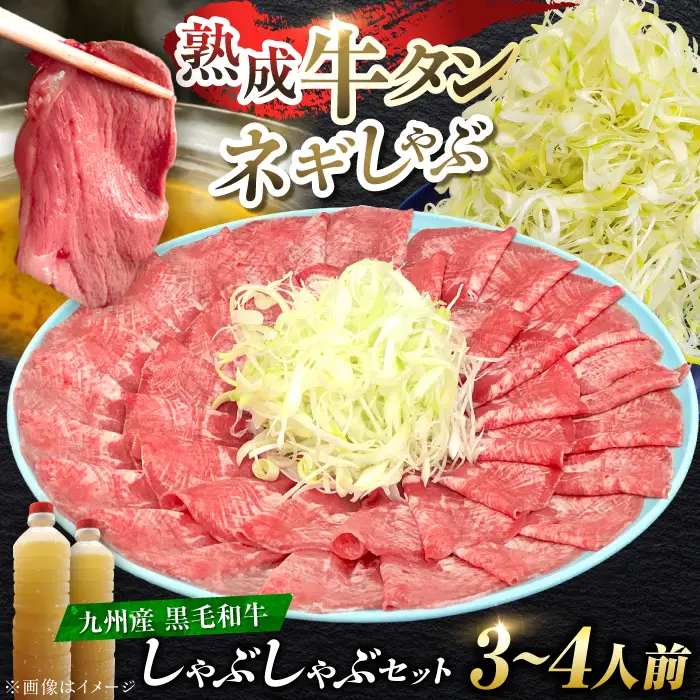 九州産 黒毛和牛 牛タンしゃぶしゃぶセット 500g 牛たん[FCJ071]