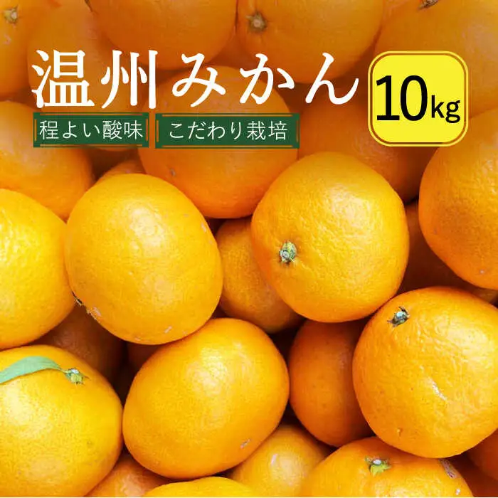 【2026年12月中旬-発送】温州みかん 10kg（2S-2L込）  / みかん ミカン みかん ミカン ミカン 蜜柑 柑橘 フルーツ 果物 / 南島原市 / 日野江 [SCY002]