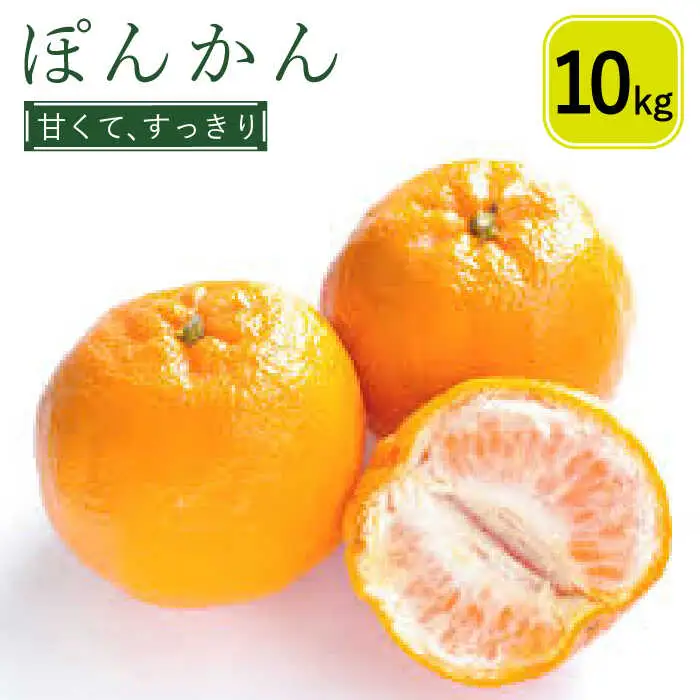 【2027年1月中旬-発送】ぽんかん 10Kg（M-3L）/ ぽんかん ポンカン ぽんかん ポンカン ポンカン みかん ミカン 蜜柑 柑橘 フルーツ 果物 / 南島原市 / 日野江 [SCY004]