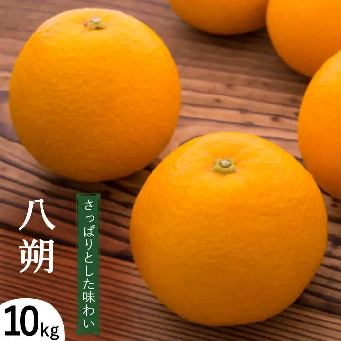 【2027年1月下旬-発送】八朔（10Kg）（L-2L込） / はっさく ハッサク はっさく ハッサク ハッサク 八朔 みかん ミカン 蜜柑 柑橘 フルーツ 果物 / 南島原市 / 日野江 [SCY005]