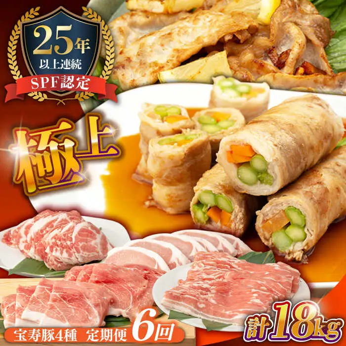 【6回定期便】SPF豚 やっちゃおいしか芳寿豚バラエティセット 計3000g / 豚肉 定期便 ほうじゅとん SPF豚 spfポーク 小分け バラ しゃぶしゃぶ / 南島原市 / 芳寿牧場 [SEI021]