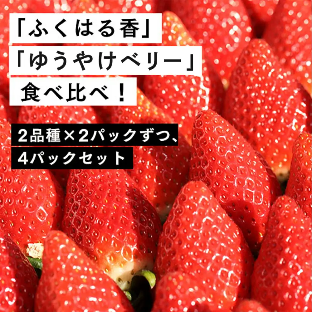 伊賀いちご園のレギュラーパック 280g×4パック | ふくはる香 ゆうやけベリー