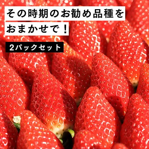伊賀いちご園のおまかせ 280g×2パック | ふくはる香 ゆうやけベリー