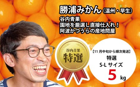 谷内青果 特選 早生みかん 秀品 S-Lサイズ 5kg